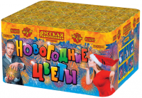 Новогодние цветы Фейерверк купить в Долинске | dolinsk.salutsklad.ru