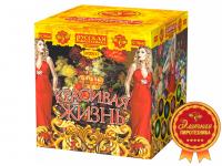 Красивая жизнь Фейерверк купить в Долинске | dolinsk.salutsklad.ru