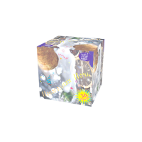 Новогодняя ночь Салют купить в Долинске | dolinsk.salutsklad.ru