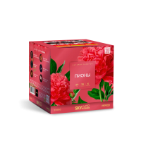 Пионы Салют купить в Долинске | dolinsk.salutsklad.ru