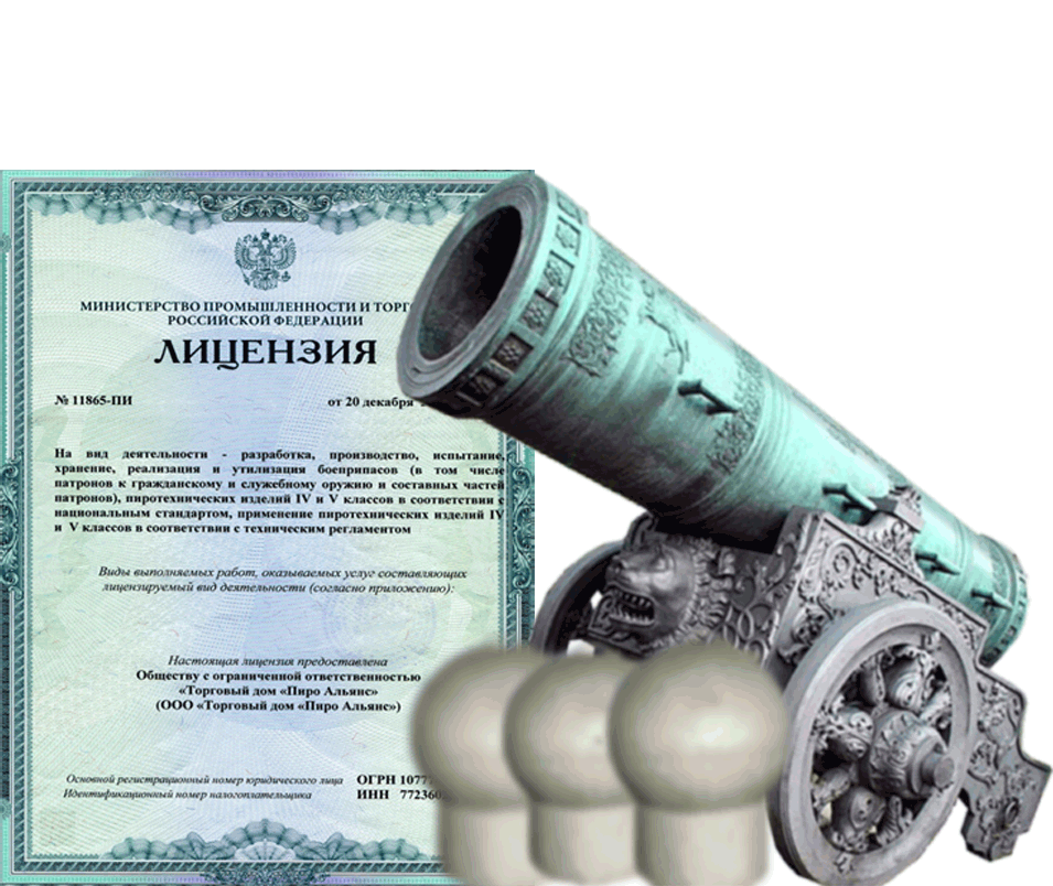 Заказать фейерверк на Новый Год - салют в Долинске