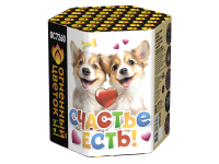 Счастье есть! Салют купить в Долинске | dolinsk.salutsklad.ru